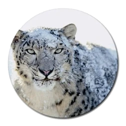 Mac OS X Snow Leopard logo